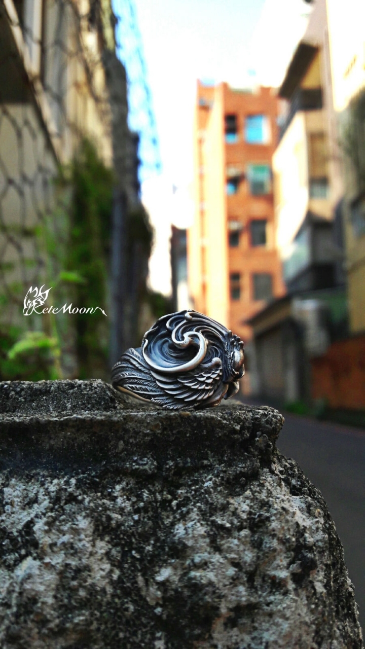 Dual Flow-輪迴戒
