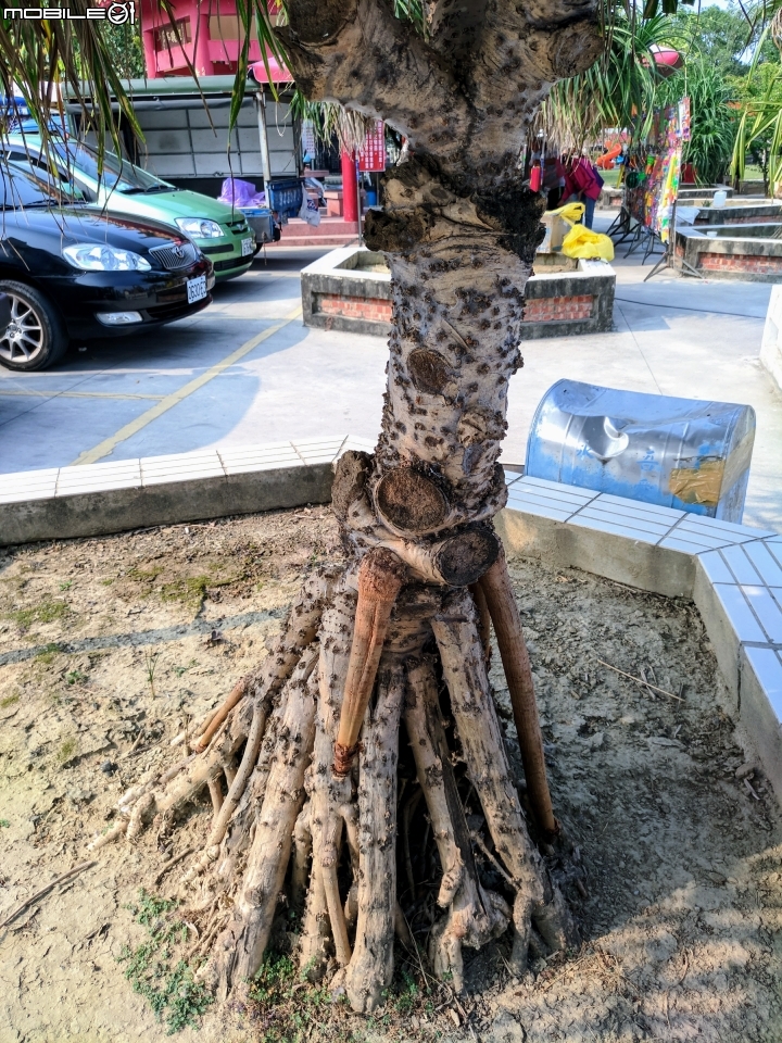 佳福寺 台南市佳里區營頂里 9月24號