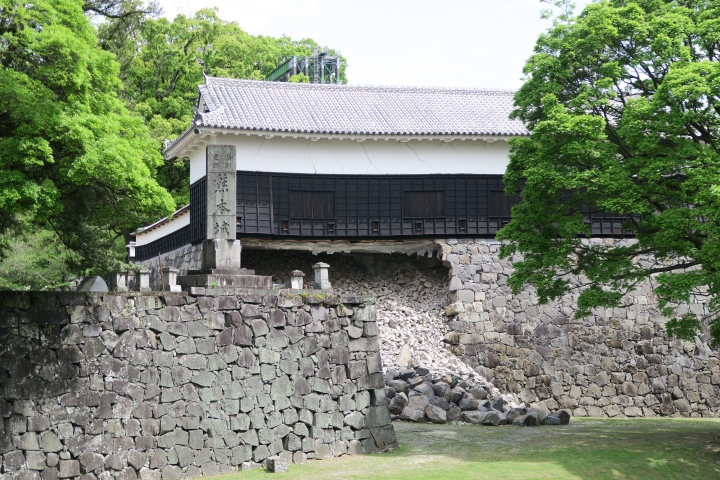 九州六天五夜太平洋旅行社行程分享（大興善寺 島原芝櫻 熊本城…