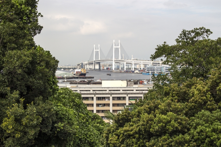 【神奈川縣・橫濱】俯瞰港口的山丘公園