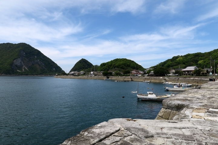 九州六天五夜太平洋旅行社行程分享（大興善寺 島原芝櫻 熊本城…