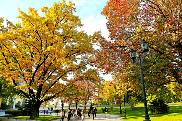 讓我們來一份「莫斯科」的楓葉吧！ – Here, I am travelling