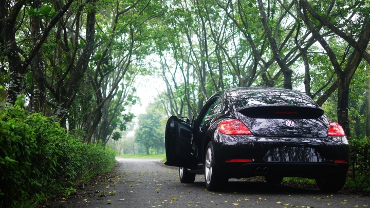 [開箱]The Beetle 2016年式開箱文