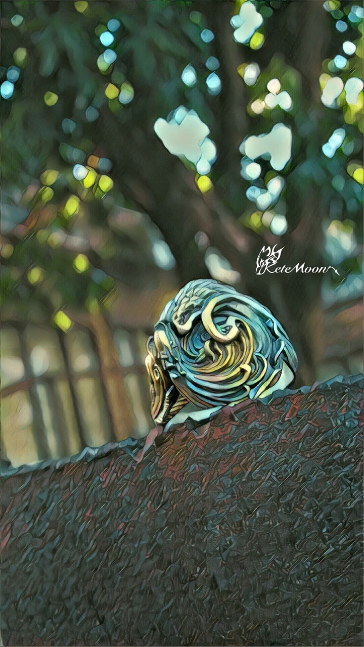 Dual Flow-輪迴戒