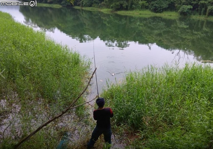 野生水庫福壽，  好好吃