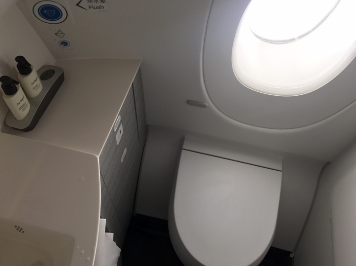 飛行紀錄:新加坡-香港 國泰首架A350 CX690 商務艙