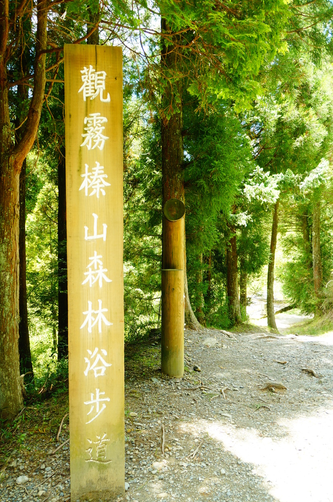 [新竹縣]榛山登山步道