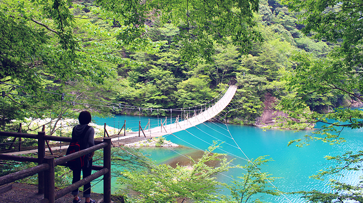 【靜岡縣・寸又峽】前往散發神秘氛圍的寸又峽・夢幻吊橋！