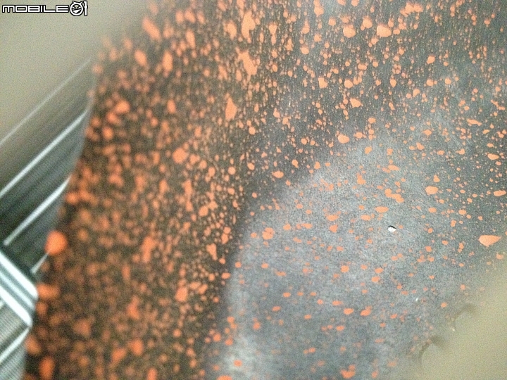 請問這是防硫處理嗎?