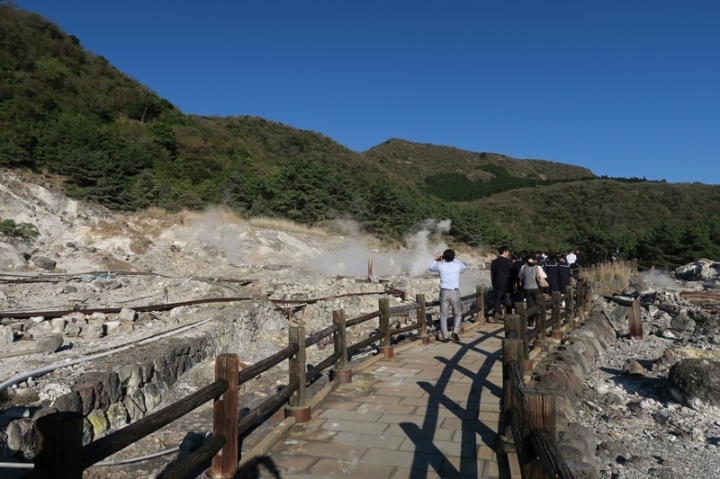 九州六天五夜太平洋旅行社行程分享（大興善寺 島原芝櫻 熊本城…