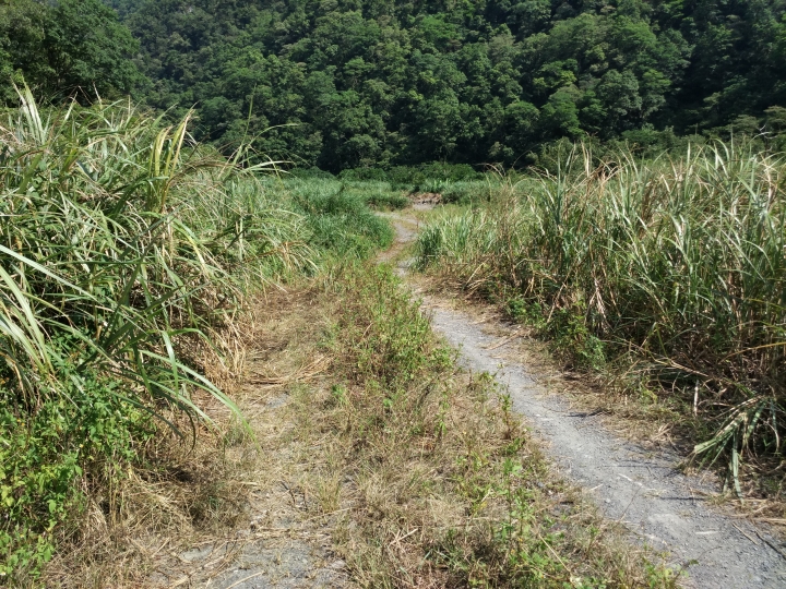 宜蘭員山粗坑小遊記～（圖多～慎入～）