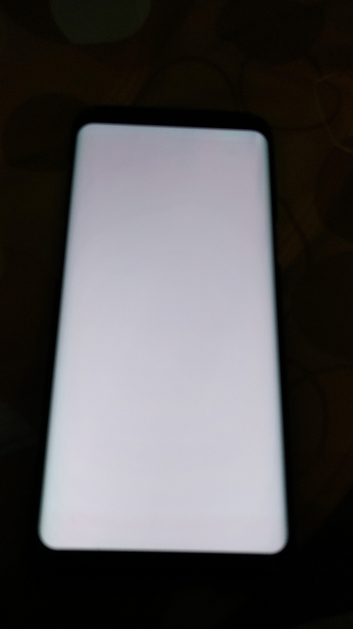 S8+ 使用三四個月~螢幕上下邊都烙印(原廠已換新螢幕，電池)