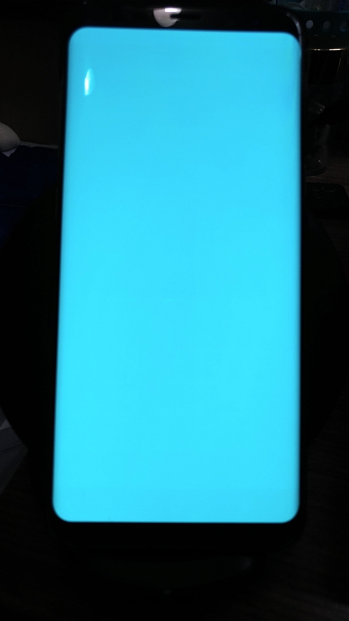 S8+ 使用三四個月~螢幕上下邊都烙印(原廠已換新螢幕，電池)
