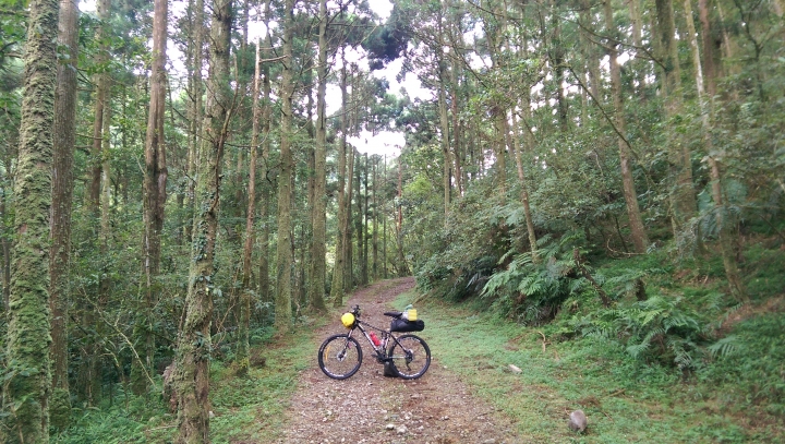 『那些Bikepacking的日子』 - 坪溪古道 x 太和山步道