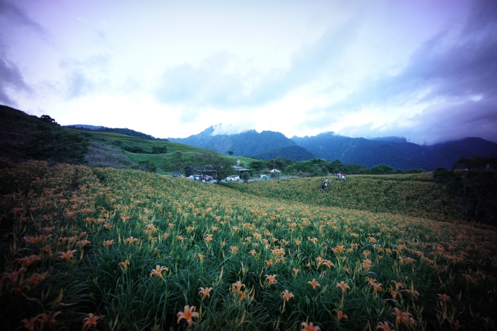 A7系統手動超廣角VM Super Wide-Heliar 15F4.5 ASPH的問題