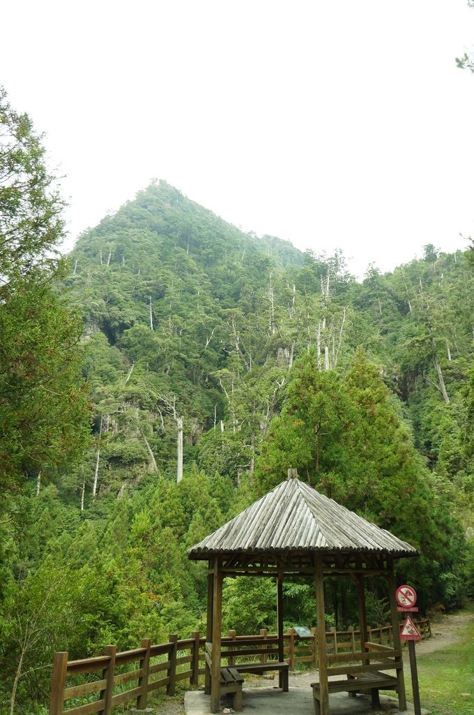 [新竹縣]榛山登山步道