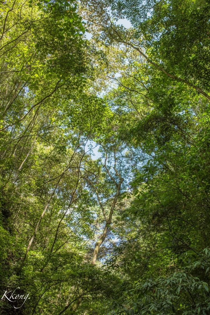 機車露營第三露，雲窩森林！ （騎車、攝影、露營）