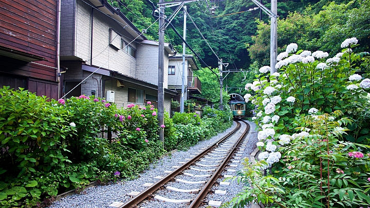 日本的浮光掠影2 （M240+M10）