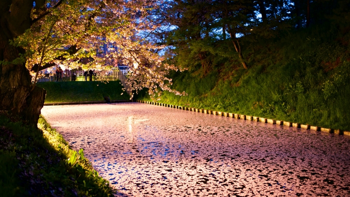 日本的浮光掠影