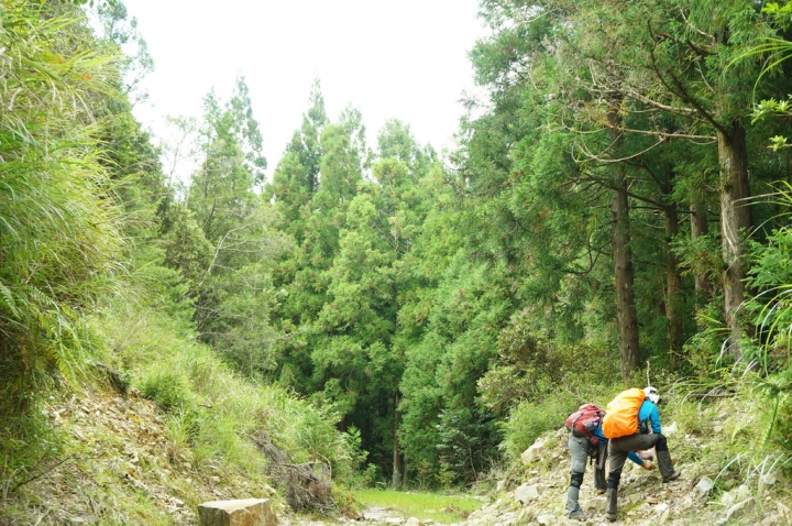 [新竹縣]榛山登山步道