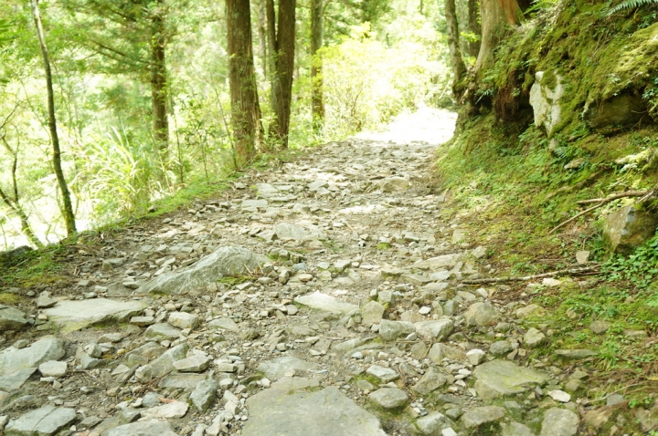 [新竹縣]榛山登山步道