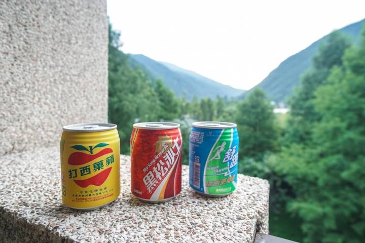 埔里住宿 | 楓樺台一渡假村 - 台一生態休閒農場 / 花泉卉館泡湯、嚐花餐  花香森呼吸  魂牽夢縈的度假勝地