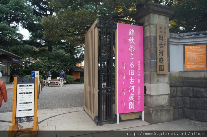 【玩】日本 東京 舊古河庭園--2016來去日式庭園賞楓去