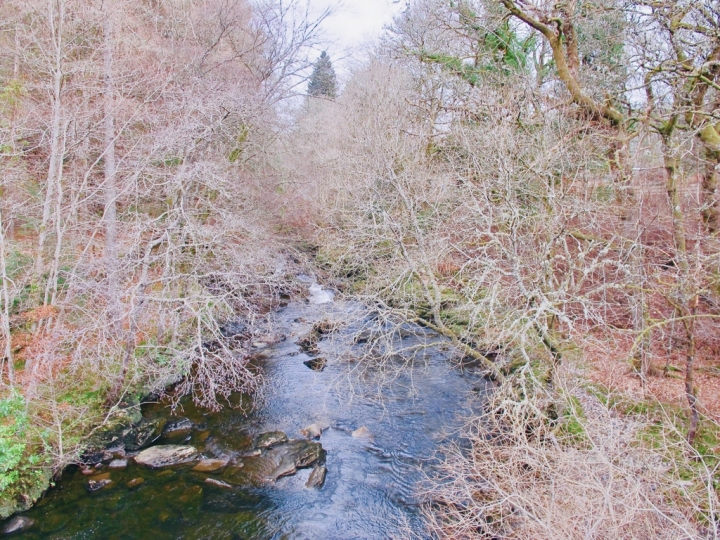 【Highland．走跳】踏入絕美電影場景中-rabbie's Tours蘇格蘭三日高地探險(一)
