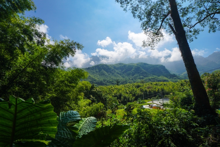 南投民宿 | 溪頭有晴天 鹿谷隱逸秘境 療癒旅人的身心 讓森林成為室內的一部分