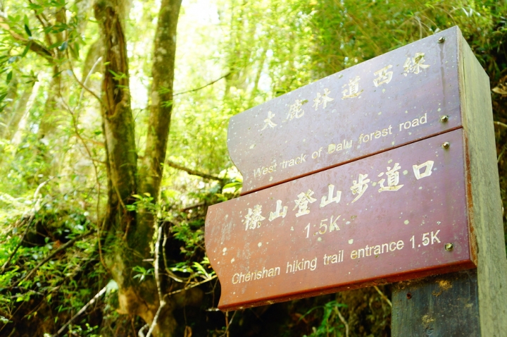 [新竹縣]榛山登山步道