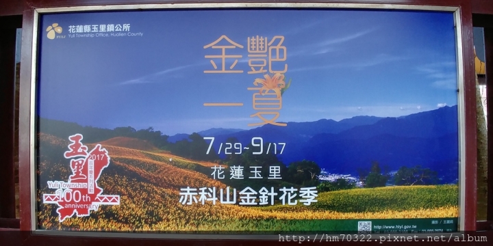 【花蓮遊記】- 富里六十石山.金針花海 / 富里 / 玉里 / 赤科山 / 池上 / 金針花風景區
