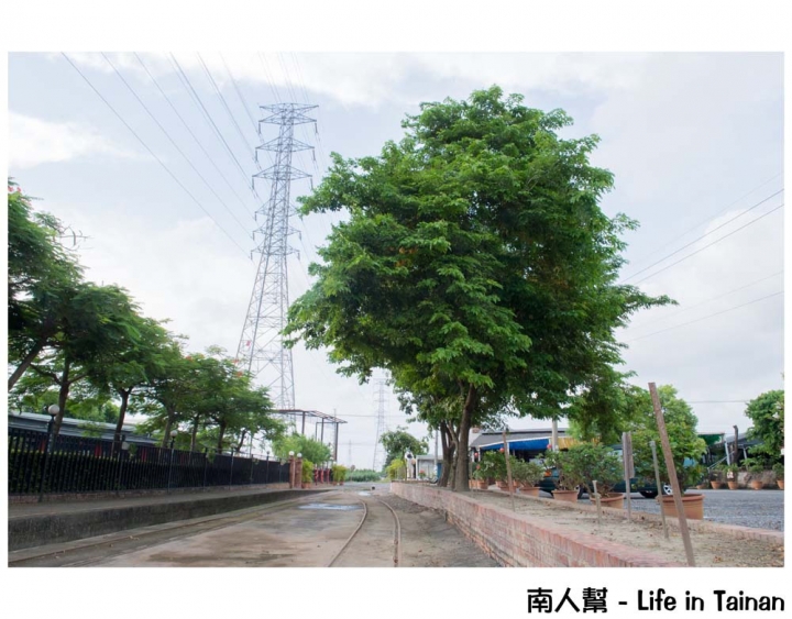 【台南柳營-景點】體驗鐵道文化｜搭乘五分車｜欣賞兩旁柳營鄉純樸農村景色 ~ 八老爺車站-乳牛的家