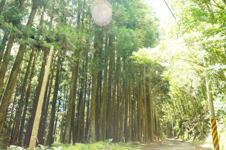 [新竹縣]榛山登山步道