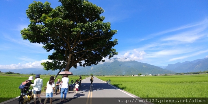 『台東遊記』- 池上伯朗大道．伯朗三號民宿 / 單車旅行 / 天堂路 / 秋收稻穗藝術節