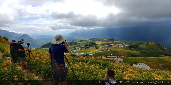 【花蓮遊記】- 富里六十石山.金針花海 / 富里 / 玉里 / 赤科山 / 池上 / 金針花風景區