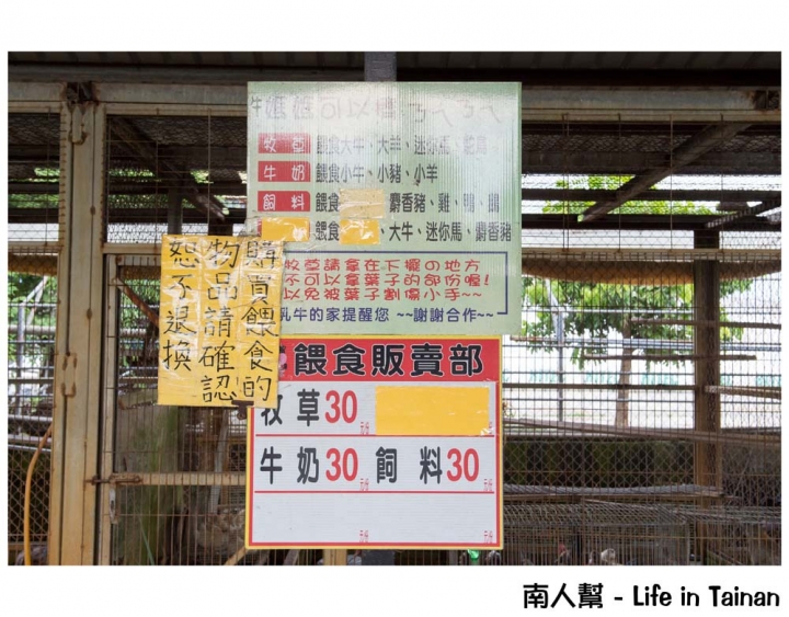 【台南柳營-景點】體驗鐵道文化｜搭乘五分車｜欣賞兩旁柳營鄉純樸農村景色 ~ 八老爺車站-乳牛的家