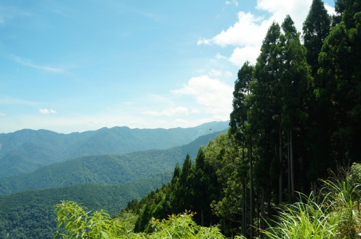 [新竹縣]榛山登山步道