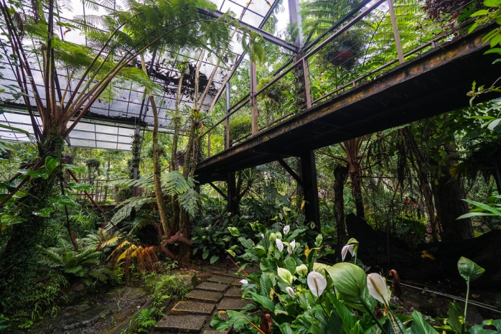埔里住宿 | 楓樺台一渡假村 - 台一生態休閒農場 / 花泉卉館泡湯、嚐花餐  花香森呼吸  魂牽夢縈的度假勝地