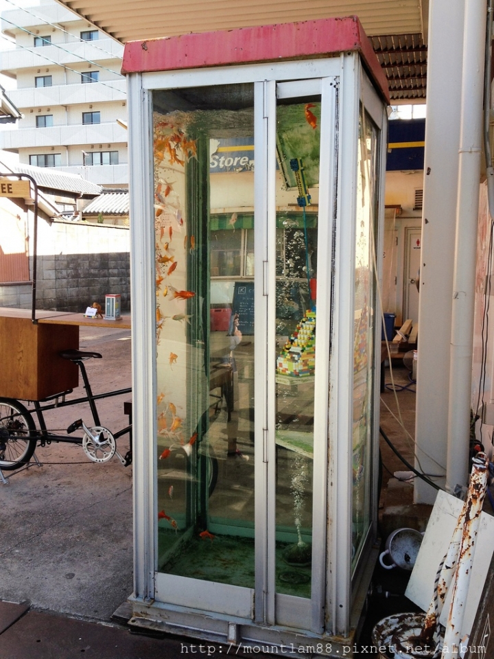 大阪京都奈良【景點】十個趣---電話亭變金魚缸?