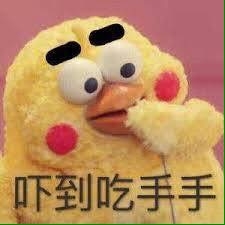 另類一日雙港(安平港-花蓮港)
