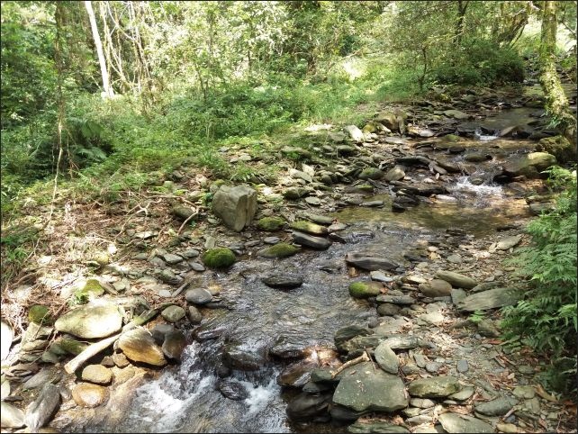 【宜蘭縣員山景點】免費需申請美景如畫的福山植物園