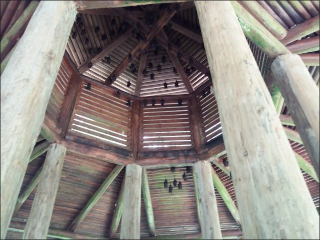 【宜蘭縣員山景點】免費需申請美景如畫的福山植物園