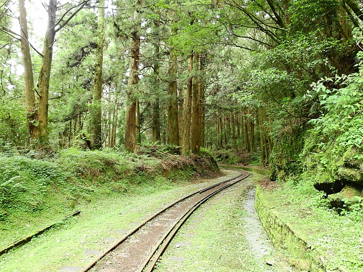 Nikon P900の路！