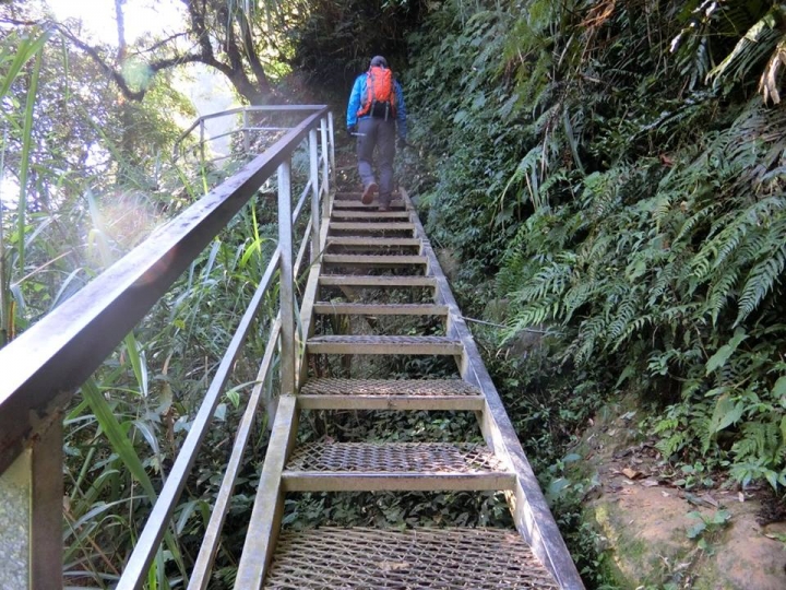 1061023 忘憂森林 金柑樹山 嶺頭山環線縱走