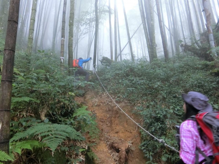 1061023 忘憂森林 金柑樹山 嶺頭山環線縱走