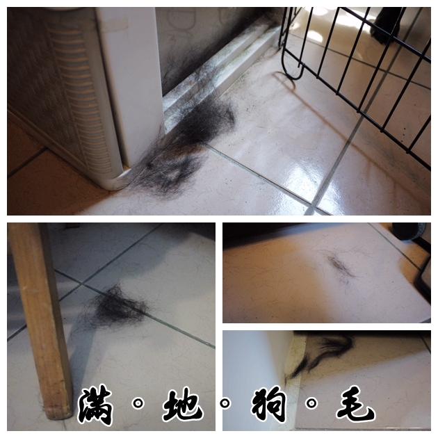 【測試】居家聰明小幫手/iRobot Roomba 960掃地機器人