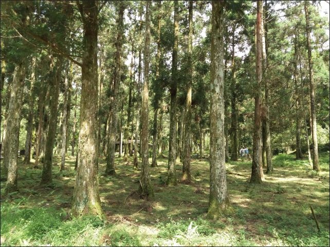 【宜蘭縣員山景點】免費需申請美景如畫的福山植物園