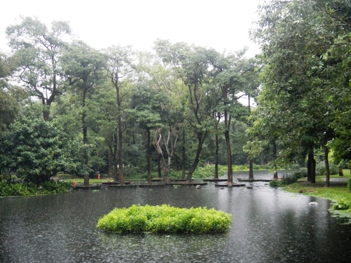 乘 雨 騎 遊 鳳 山 古 蹟 文 藝 之 旅