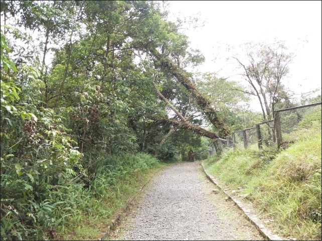 【宜蘭縣員山景點】免費需申請美景如畫的福山植物園