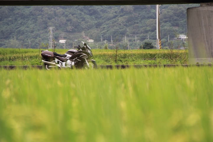 我與阿肥的戀戀花東四日行